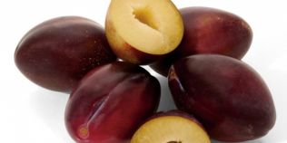 Prunele previn anemia! Descopera si alte superbeneficii ale acestor fructe de sezon