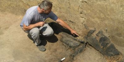 Misterul printului din Neolitic: scheletul capeteniei de trib ingropate cu mare fast e descoperirea anului in Hunedoara