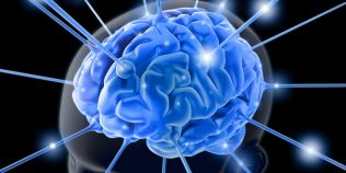 O companie de biotehnologie vrea sa foloseasca celule stem pentru a reactiva creierul persoanelor in moarte cerebrala